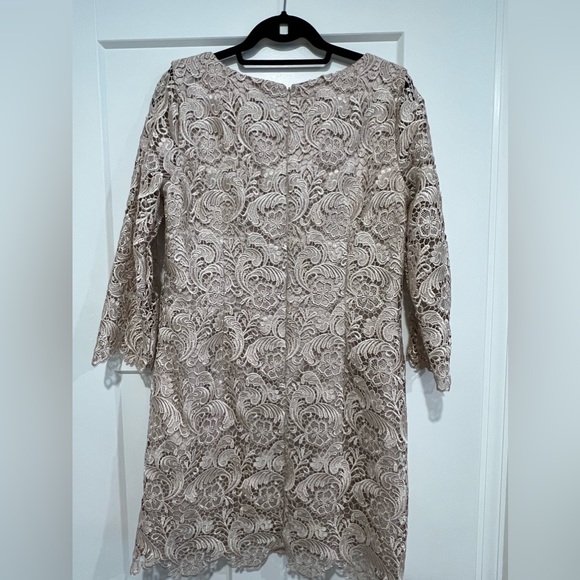 White House Black Market Ivory Lace Dress - Picture 3 of 4